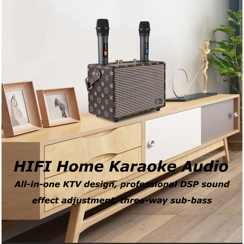 HYTRA Wireless Dual Microphone k-song Audio
