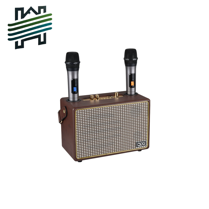 HYTRA Wireless Dual Microphone k-song Audio