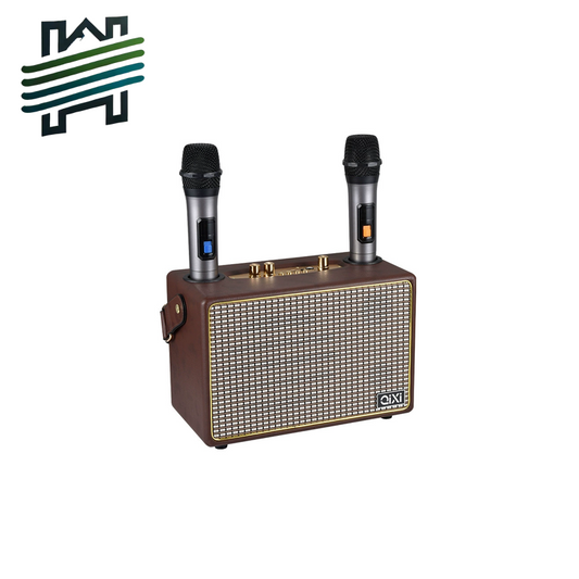 HYTRA Wireless Dual Microphone k-song Audio