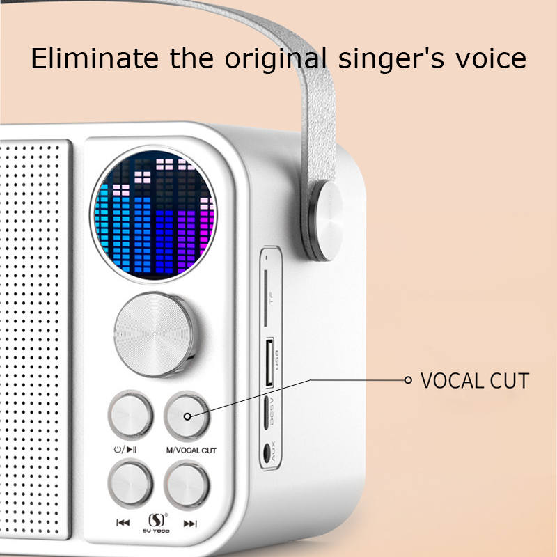 HYTRA Wireless Bluetooth Dual-microphone Speaker